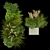 Indoor Leaf Grass Collection Vol. 324 3D model small image 4