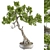 Zen Bonsai Set: Indoor Plant in Pot 3D model small image 1