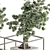 ZenMinds Bonsai Set: Indoor Plant Set 358 3D model small image 3