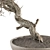 Dry Bonsai Plant Set: Indoor Serenity 3D model small image 2