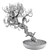 Dry Bonsai Plant Set: Indoor Serenity 3D model small image 3