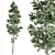 Evergreen Pine Tree Set 76 3D model small image 1