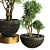 Stunning Indoor Plant Vol. 47 3D model small image 2