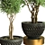 Stunning Indoor Plant Vol. 47 3D model small image 3