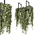 Metal Box Hanging Plants - Set 269 3D model small image 1