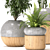 Green Oasis Indoor Plants Collection 3D model small image 2