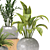 Green Oasis Indoor Plants Collection 3D model small image 3