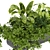Ultimate Plant Collection Vol. 325 3D model small image 2