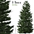 Cilician Fir Tree: Realistic Conifer for Landscapes 3D model small image 1