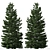 Cilician Fir Tree: Realistic Conifer for Landscapes 3D model small image 3