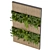 Fitowall Banana Leaf - Collection Plant Vol 326 3D model small image 4