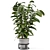 Rusty Concrete Pot Indoor Plants 3D model small image 4