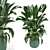 Green Oasis: Indoor Plant Collection 3D model small image 2