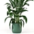 Green Oasis: Indoor Plant Collection 3D model small image 3