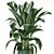 Green Oasis: Indoor Plant Collection 3D model small image 4