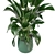 Green Oasis: Indoor Plant Collection 3D model small image 5