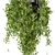 Metal Box Hanging Plants Set 3D model small image 5