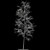 Snowy Birch - 13m Height 3D model small image 1