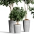 Indoor Plants Collection 62 3D model small image 3