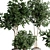 Indoor Plants Collection 62 3D model small image 4