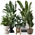 Modern Indoor Plants Set in Bau Pot 3D model small image 1