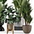 Modern Indoor Plants Set in Bau Pot 3D model small image 5