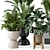Modern Indoor Plants Set in Bau Pot 3D model small image 6
