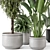  Rusty Concrete Pot Indoor Plants - Set 561 3D model small image 4