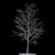  Snowy Birch Tree - 8.4m Height 3D model small image 2