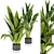 Indoor Banana Leaf Plant Collection - Vol. 329 3D model small image 1