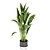 Indoor Banana Leaf Plant Collection - Vol. 329 3D model small image 3