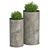 Double Greenery in Oversized Pots 3D model small image 1