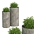 Double Greenery in Oversized Pots 3D model small image 2