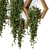 Concrete Pot Hanging Plants Set 3D model small image 4