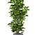 Tropical Oasis Indoor Plants 3D model small image 4