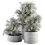 372 Indoor Plant Set: Bush & Plant in Pot 3D model small image 1