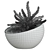 Spherical Glass Pot with Plant 3D model small image 2