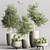 Cactus & Plant 04: Stylish Succulent Decor 3D model small image 1