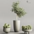 Cactus & Plant 04: Stylish Succulent Decor 3D model small image 2