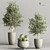 Cactus & Plant 04: Stylish Succulent Decor 3D model small image 3