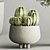 Cactus & Plant 04: Stylish Succulent Decor 3D model small image 4