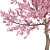 Cherry Blossom Tree - Spring Beauty 3D model small image 3