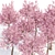 Cherry Blossom Tree - Spring Beauty 3D model small image 5