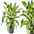 Lush Greens Indoor Plant Collection 3D model small image 2