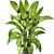 Lush Greens Indoor Plant Collection 3D model small image 4