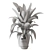 Lush Greens Indoor Plant Collection 3D model small image 6