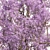 Vibrant Spring Blossom: 3D Purple Tree 3D model small image 2