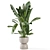 Rustic Concrete Pot Indoor Plants 3D model small image 6