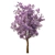 Spring Purple Tree: Highly Detailed 3D Model 3D model small image 5