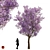 Spring Purple Tree: Highly Detailed 3D Model 3D model small image 7